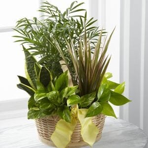 The FTD® French Garden™