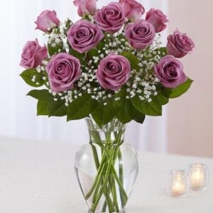 Lavender Roses