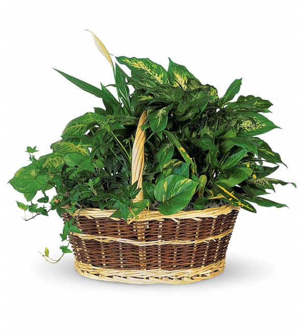 Bountiful Garden Basket
