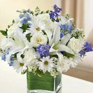 Healing Hope - Blue & White