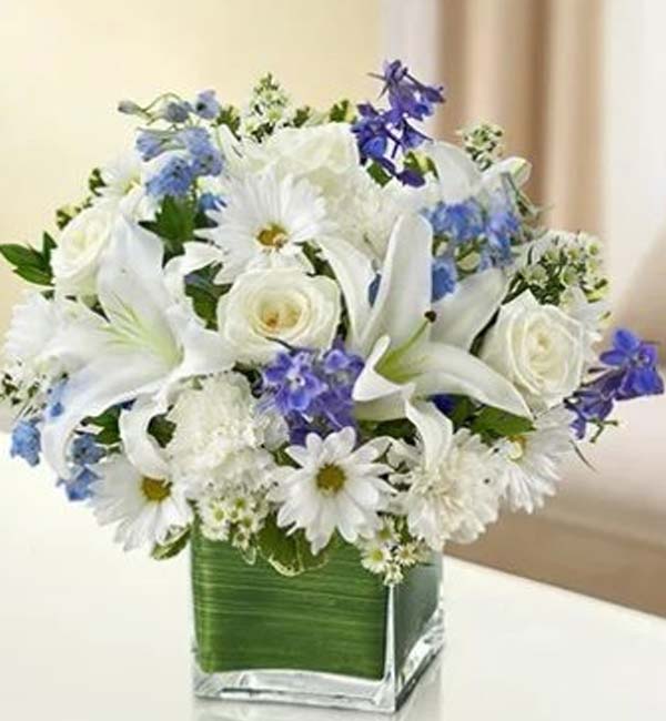 Healing Hope - Blue & White