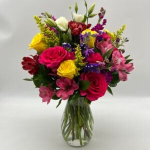 Dazzling Colors