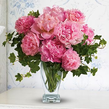 Teleflora's Perfect Peonies