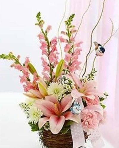 <p>Celebrate the joy of new beginnings with a gift as sweet and charming as a newborn’s first smile. The Welcome to the World – Pink arrangement is a heartwarming way to congratulate new parents and welcome their baby girl with beauty, softness, and thoughtful design.</p>
<p>This delightful bouquet features a blend of fresh lilies, snapdragons, carnations, and other seasonal blooms in soft pink and white tones. Arranged in a whimsical bird’s nest-style basket and accented with ribbon and playful bird picks, it captures the warmth of family and the excitement of new life.</p>
<p>Perfect for hospital deliveries, baby showers, or at-home greetings, the Welcome to the World – Pink bouquet celebrates this joyful milestone with elegance and creativity. Its gentle colors and unique presentation make it a gift the new family will always remember.</p>
<p>Each arrangement is handcrafted by expert florists. Same-day delivery is available throughout local communities, ensuring your congratulations arrive fresh, beautiful, and full of meaning.</p>
<p>Add a personal message at checkout to share your love and warm wishes. With the Welcome to the World – Pink arrangement, you’re delivering more than flowers—you’re sharing in a beautiful beginning.</p>