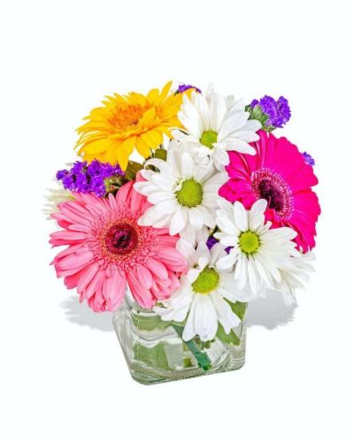 <p>Add instant cheer to any moment with a lively floral arrangement bursting with personality and charm. Featuring a delightful mix of pink, yellow, white, and purple blooms, this bouquet is designed to brighten their day with bold color and fresh energy. Whether celebrating something special or sending a “just because” surprise, this arrangement brings the perfect splash of happiness.</p>
<p>This vibrant bouquet may include a mix of roses, daisies, carnations, lilies, or seasonal favorites, each chosen for its brilliant hue and fresh appeal. The combination of soft pinks, sunny yellows, pure whites, and rich purples creates a balanced and joyful look. Arranged in a clear glass vase, the flowers are styled to feel lighthearted and full of life.</p>
<p>This bouquet is perfect for birthdays, thank-you gifts, or simply sharing a bit of brightness with someone you care about. It’s a versatile, everyday arrangement that delivers a big impression with its cheerful colors and thoughtful design.</p>
<p>Each bouquet is handcrafted with care by expert floral designers, made fresh to order using high-quality blooms and creative styling. Same-day delivery is available to ensure your gift arrives fresh, beautiful, and right on time.</p>
<p>Add a personal message at checkout to make your delivery even more heartfelt. With this arrangement, you’re not just sending flowers—you’re sending a colorful smile in bloom. Brighten their day the colorful way.</p>