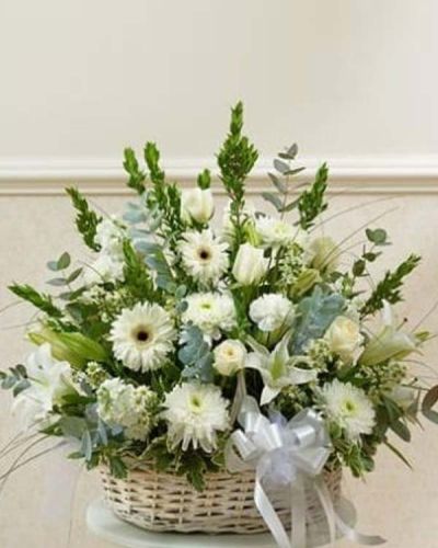<p>In times of sorrow, a gentle and elegant gesture can bring quiet comfort. The Serenity Basket Arrangement offers a heartfelt expression of sympathy, thoughtfully designed to honor a life with beauty, grace, and peace.</p>
<p>This sophisticated arrangement features pure white roses, hybrid lilies, Gerbera daisies, and additional fresh seasonal blooms. Hand-arranged in a classic handled basket, the design is full, balanced, and serene—creating a soft, comforting presence in any setting.</p>
<p>Appropriate for sending to funeral homes or directly to the family’s home, this arrangement suits friends, family, or professional associates. The all-white palette conveys purity, reverence, and remembrance, making it an ideal way to express heartfelt condolences.</p>
<p>Each Serenity Basket Arrangement is handcrafted by expert florists with care and attention to detail. Same-day delivery is available throughout local areas, ensuring your gift arrives fresh and respectfully presented.</p>
<p>Include a personal sympathy message at checkout to let them know you are thinking of them. With the Serenity Basket Arrangement, your compassion is felt through every carefully chosen bloom.</p>