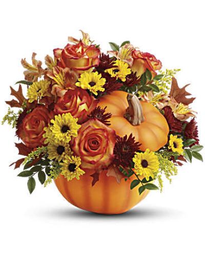 <p>Celebrate the warmth and wonder of the season with a radiant bouquet that brings autumn’s most beautiful colors to life. Hand-delivered in a charming ceramic pumpkin, this heartwarming arrangement is the perfect way to share gratitude, joy, and festive spirit. Whether sending seasonal cheer or decorating a table, it blends elegance with fall fun.</p>
<p>This delightful design features a lush mix of autumn favorites: vibrant orange roses, orange alstroemeria, burgundy cushion chrysanthemums, yellow daisy chrysanthemums, and golden solidago. These rich blooms are accented with seasonal greenery, including huckleberry and oak leaves, creating a full and textural look that mirrors the beauty of fall foliage. The entire bouquet is thoughtfully arranged in a keepsake ceramic pumpkin—making it a gift to enjoy long after the flowers fade.</p>
<p>Ideal for Thanksgiving gatherings, fall birthdays, hostess gifts, or simply brightening someone’s day, this arrangement adds a festive touch to any occasion. Its warm color palette and reusable container make it as practical as it is beautiful, offering lasting value and heartfelt charm in one thoughtful delivery.</p>
<p>Each arrangement is carefully handcrafted with attention to detail and made fresh to order. Same-day delivery is available locally, ensuring every order arrives fresh, full, and beautifully styled. No drop shipping or generic boxes—just locally made arrangements delivered with care.</p>
<p>You can add a personal message at checkout to make the gift even more meaningful. This bouquet delivers everything loved about the season—cozy colors, thoughtful details, and a touch of harvest magic.</p>
