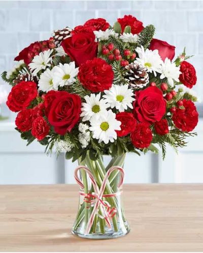 <p>Make spirits bright with the Peppermint Joy Bouquet—a cheerful swirl of holiday delight that captures the whimsy and warmth of the season. This festive arrangement is designed to deliver smiles, warm hearts, and add a playful yet elegant accent to any holiday celebration.</p>
<p>Brimming with a candy-cane-inspired mix of red and white blooms, this bouquet includes classic red carnations, snowy white chrysanthemums, and fresh seasonal greenery accented by frosted pinecones. A pair of real candy canes tied with a festive red ribbon brings the design together with nostalgic charm. All of it is artfully arranged in a clear glass vase, offering a delightful presentation full of texture, contrast, and color.</p>
<p>Whether you’re sending joyful wishes from afar or brightening your own space, this arrangement brings instant holiday magic. Its red-and-white color palette mirrors the sweetness of the season, while natural pinecones and evergreen sprigs add rustic winter appeal. Perfect for holiday parties, thank-you gifts, December birthdays, or simple moments of kindness, this bouquet makes it easy to share the joy of the season.</p>
<p>Each design is handcrafted using the freshest seasonal flowers, and some blooms may arrive in bud form to ensure longer-lasting beauty. Local delivery is available through a trusted florist network, so your thoughtful gift arrives fresh and full of cheer.</p>
<p>With its blend of peppermint charm and traditional elegance, the Peppermint Joy Bouquet is the perfect way to celebrate the season—one sweet smile at a time.</p>