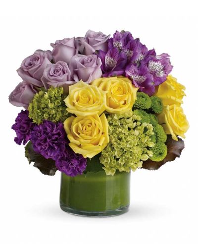 <p>Elevate any moment with a bouquet that blends elegance, charm, and a touch of the unexpected. The Purple Perfection Bouquet is a striking display of lush color and texture, perfect for expressing admiration, joy, or heartfelt appreciation.</p>
<p>This sophisticated arrangement includes miniature green hydrangea, lavender and yellow roses, purple alstroemeria, dark purple carnations, green button spray chrysanthemums, galax leaves, and a ti leaf. Each bloom is carefully arranged in a clear glass vase to highlight its natural beauty and create a fresh, modern look.</p>
<p>Ideal for birthdays, congratulations, or simply showing someone you care, this bouquet captures both warmth and sophistication. The combination of purple, green, and yellow tones makes it versatile for a wide range of thoughtful occasions.</p>
<p>Every Purple Perfection Bouquet is handcrafted by expert florists with care and attention to detail. Same-day flower delivery is available throughout local communities, with every arrangement made fresh to order and delivered with care.</p>
<p>Add a personal message at checkout to make your gift even more memorable. With the Purple Perfection Bouquet, you send a burst of color, joy, and refined beauty to someone who deserves it.</p>