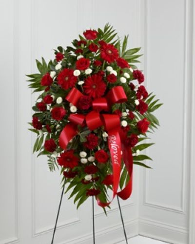 <p>When words feel insufficient, a floral tribute can convey deep emotion and lasting respect. This elegant standing spray offers a bold and heartfelt way to honor someone whose presence left a lasting impact. With its vivid red tones and graceful presentation, it speaks of unwavering love, treasured memories, and a final farewell filled with meaning and care.</p>
<p>The arrangement features a lush combination of classic red roses, rich burgundy carnations, burgundy mini carnations, and bright red gerbera daisies, all thoughtfully balanced with soft white button poms. Each bloom is set against a backdrop of fresh greenery, creating a composition that feels both strong and serene. A satin ribbon adorned with the word “Beloved” provides a poignant finishing touch, embodying the spirit of love and remembrance that this tribute represents.</p>
<p>This standing spray is an appropriate and touching gesture for a funeral, memorial, or celebration of life. It’s designed to reflect the depth of connection shared with the departed—whether they were a beloved family member, cherished friend, or esteemed colleague. The richness of color and the symbolism behind every flower make it a fitting choice to express love, reverence, and lasting devotion.</p>
<p>Expertly arranged and thoughtfully presented, this design ensures that your expression of sympathy is felt and appreciated. It brings a comforting beauty to solemn moments and offers quiet strength during times of mourning. The floral spray serves as a visual reminder of how deeply someone was loved and how greatly they’ll be missed.</p>
<p>Let this tribute stand tall in their honor, offering solace to those who grieve and a lasting impression of grace and affection. With its refined style and emotional resonance, it helps convey what cannot always be said aloud—a message of remembrance that endures.</p>