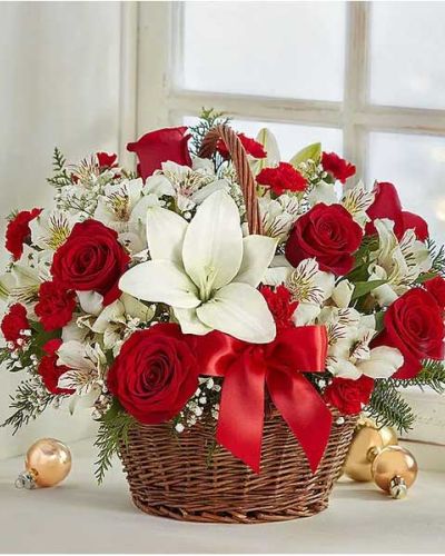 <p>Send a heartwarming holiday gift that combines rustic charm with classic seasonal beauty. This festive basket arrangement evokes the spirit of a countryside Christmas, blending traditional colors and fresh textures in a display that feels both joyful and welcoming. Whether shared with loved ones or used to brighten your own home, it brings the warmth of the holidays to any setting.</p>
<p>A cheerful mix of red roses, miniature carnations, white Asiatic lilies, and Peruvian lilies forms the heart of this design. Baby’s breath adds lightness and elegance, while assorted fresh evergreens bring seasonal fragrance and natural fullness. The vibrant reds and snowy whites create a timeless holiday palette that suits any table, entryway, or cozy corner.</p>
<p>Hand-arranged in a handled willow basket and finished with a red satin bow, the presentation adds a simple yet refined touch to the overall look. Medium and large sizes feature fuller arrangements with roses and lilies, while the small version offers a more compact option that still carries the same holiday spirit. Each size is designed to fit beautifully into spaces big or small.</p>
<p>This bouquet makes a thoughtful gift for holiday hosts, family members, friends, or anyone who appreciates a classic seasonal touch. Its gathered, natural style feels both homey and elegant, making it equally suited for festive celebrations or quiet seasonal décor.</p>
<p>Every basket is handcrafted and delivered fresh by a skilled florist. To ensure lasting enjoyment, some blooms may arrive in bud form and open fully over the following days. Because each arrangement is unique, the exact mix of flowers and basket design may vary slightly with seasonal availability, but the festive spirit remains the same. Give the gift of holiday cheer with a beautiful floral tradition.</p>