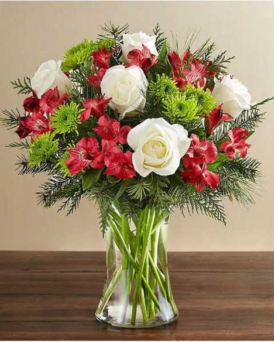 <p data-start="207" data-end="508">Celebrate the magic of the season with the Christmas Bliss Bouquet—a radiant arrangement that brings joy, warmth, and elegance to every holiday moment. Whether you're surprising loved ones from afar or adding cheer to your own home, this festive design captures the spirit of Christmas in every petal.</p>
<p data-start="510" data-end="908">The bouquet features a timeless blend of white roses, vibrant red Peruvian lilies (alstroemeria), and cheerful green athos poms. Accented with fresh seasonal greenery and designed in an all-around style, it's a lush and polished arrangement that lights up any room. The flowers are hand-gathered in a classic clear glass vase, creating a welcoming centerpiece for tables, entryways, or countertops.</p>
<p data-start="910" data-end="1289">With its red, white, and green palette, this bouquet fits seamlessly into traditional holiday décor. It’s perfect for December birthdays, Christmas dinners, hostess gifts, or simply sharing seasonal joy “just because.” The white roses offer a sense of grace and calm, while the red alstroemeria adds festive energy, resulting in a bouquet that feels both balanced and meaningful.</p>
<p data-start="1291" data-end="1624">Each arrangement is crafted with care using the freshest flowers available. Some blooms, such as the Peruvian lilies, may arrive in bud form to extend the enjoyment and allow for a longer-lasting display. Local delivery is available through our network of experienced florists to ensure every bouquet arrives fresh and full of cheer.</p>
<p data-start="1626" data-end="1872">Offered in multiple sizes to suit any space or occasion, the Christmas Bliss Bouquet is a thoughtful way to make spirits bright. Its elegant mix of colors and textures leaves a lasting impression and brings holiday happiness wherever it’s placed.</p>
<p data-start="1874" data-end="1960">Share the joy of the season with a bouquet that blooms with warmth, beauty, and bliss.</p>