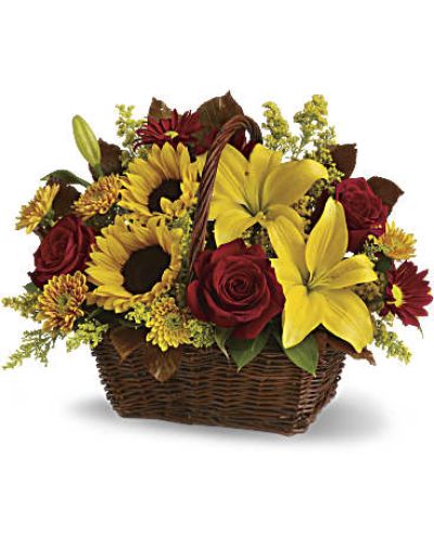 <p>Capture the glow of autumn’s golden hour with a radiant bouquet overflowing with seasonal beauty and heartfelt warmth. Designed to brighten spirits and bring a touch of fall indoors, this rustic arrangement is like sending a basket full of sunshine. Whether expressing thanks, celebrating a fall birthday, or simply letting someone know you’re thinking of them, this golden gift leaves a lasting impression.</p>
<p>Hand-arranged in a charming dark-handled basket, this bouquet features a vibrant mix of yellow Asiatic lilies, cheerful sunflowers, gold cushion chrysanthemums, burgundy daisy mums, and yellow solidaster. Lush green salal and copper beech leaves add depth and texture, enhancing the rich, earthy tones of the season. It is a lush, full arrangement that blends color, fragrance, and natural elegance in perfect harmony.</p>
<p>This bouquet is ideal for Thanksgiving centerpieces, seasonal décor, or as a meaningful gift for family, friends, or coworkers. Its joyful palette radiates happiness and appreciation, while the basket presentation gives it a welcoming, down-to-earth charm that suits any setting—from dining room tables to office desks.</p>
<p>Each bouquet is carefully handcrafted with attention to detail and made fresh to order. Same-day delivery is available locally, ensuring every arrangement arrives with care, precision, and a personal touch. These bouquets are never shipped in boxes or assembled by third parties.</p>
<p>You can add a custom message at checkout to make your gift even more special. Whether near or far, this bouquet brings thoughtfulness to life with autumn’s richest colors and freshest blooms.</p>