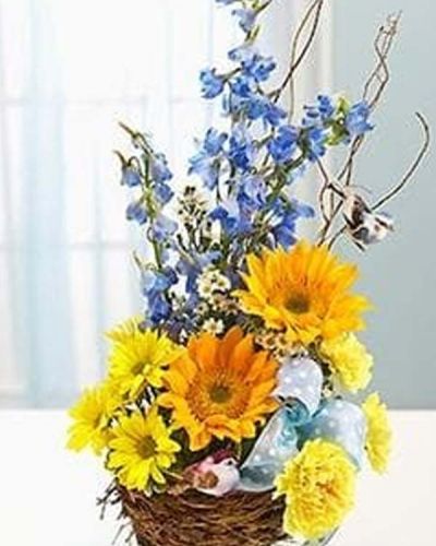 <p>Celebrate the arrival of a precious baby boy with a bouquet that radiates joy, warmth, and charm. The Welcome to the World – Blue arrangement is a delightful way to congratulate new parents and mark this beautiful milestone with fresh, cheerful blooms.</p>
<p>This unique design features a mix of baby blue and yellow flowers, including bright delphinium, sunny sunflowers, soft carnations, and cheerful daisy poms. Arranged in a whimsical bird’s nest-style basket and accented with a blue polka dot ribbon and a pair of playful bird picks, it’s a gift full of character and thoughtful detail.</p>
<p>Ideal for hospital deliveries, baby showers, or in-home greetings, this arrangement is a warm and creative way to say “Welcome, little one!” Its fresh palette and joyful presentation capture the happiness and hope of new beginnings.</p>
<p>Each Welcome to the World – Blue bouquet is handcrafted by expert florists. Same-day delivery is available throughout local communities to ensure your gift arrives fresh, radiant, and on time.</p>
<p>Add a personalized message at checkout to share your love and congratulations. With the Welcome to the World – Blue arrangement, you’re delivering more than flowers—you’re welcoming a new life with beauty and heartfelt joy.</p>