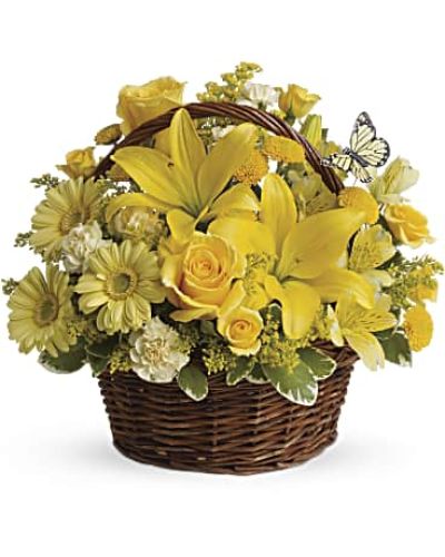 <p>Send a burst of happiness straight to their doorstep with this joyful floral arrangement designed to brighten any day. Overflowing with sun-kissed blooms and playful charm, this design captures the warmth of a summer afternoon and the simple magic of heartfelt wishes.</p>
<p>The radiant bouquet features brilliant yellow spray roses, Asiatic lilies, miniature gerbera daisies, carnations, alstroemeria, and button spray chrysanthemums. Accented with fresh greenery and presented in a charming oval basket, the display is topped with a delicate yellow butterfly that adds a whimsical finishing touch. It feels both cozy and uplifting.</p>
<p>Perfect for birthdays, get-well wishes, thank-you gestures, or just because, this basket brings joy and light to any occasion. Its natural presentation and sunny palette make it feel personal and inviting, like a thoughtful gift from the garden.</p>
<p>Each arrangement is lovingly crafted by expert florists who ensure it arrives fresh, fragrant, and full of heart. Same-day delivery is available to provide prompt and caring service.</p>
<p>Add a custom message at checkout to make your delivery even more memorable. This cheerful bouquet is a sweet reminder that good things really do come in small, beautiful packages.</p>