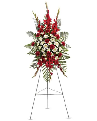 <p>Honor a life with dignity and heartfelt remembrance through a striking standing spray that combines bold red blooms with pure white accents. This elegant arrangement offers strength in color and solace in form, making it a meaningful way to support grieving families and pay tribute to someone deeply admired.</p>
<p>The spray features tall red gladioli and vibrant red carnations, symbolizing courage, love, and lasting devotion. These are beautifully balanced by soft white cushion spray chrysanthemums, which represent peace and remembrance. Accents of emerald palm and leatherleaf fern add depth, texture, and a touch of natural grace to complete the design. Mounted on a traditional funeral easel, this arrangement stands tall at any memorial or funeral service.</p>
<p>This spray is an ideal tribute for honoring a father, spouse, veteran, or respected friend whose presence was powerful and enduring. The rich red and white palette speaks to both strength of character and purity of spirit, creating a bold yet comforting visual expression.</p>
<p>Each spray is handcrafted with care by expert florists. Same-day delivery is available to funeral homes and memorial venues throughout the local area to ensure your tribute arrives with respect and grace.</p>
<p>Include a personal message at checkout to share your condolences and support. Express love, respect, and remembrance through flowers that bring comfort and beauty. This arrangement is a powerful farewell to a life remembered with honor.</p>