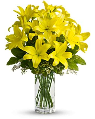 <p>Bring warmth and cheer to any day with a radiant bouquet that celebrates the beauty of spring and the uplifting power of yellow lilies. Bursting with color and elegance, this arrangement is a perfect way to brighten someone’s space and spirit with its simple, sunny charm.</p>
<p>This delightful bouquet features vibrant yellow Asiatic lilies, whose graceful petals and rich golden hue capture the essence of joy and renewal. Accented with fresh salal and textured seeded eucalyptus, the arrangement has a clean, modern look while maintaining a lush, garden-inspired feel. All blooms are artfully arranged in a clear bunch vase, letting the vivid lilies take center stage.</p>
<p>This bouquet is an ideal gift for birthdays, get-well wishes, new beginnings, or any moment when you want to share light and happiness. Yellow lilies symbolize positivity, friendship, and gratitude, making it a thoughtful and versatile choice for a wide range of occasions.</p>
<p>Each arrangement is handcrafted with care by expert florists to ensure freshness and beauty. Same-day delivery is available to bring your gift fresh, full, and ready to brighten someone’s day.</p>
<p>Add a personalized message at checkout to make your gift even more heartfelt. This bouquet delivers more than flowers—it delivers a moment of light and joy that brings the season to life.</p>