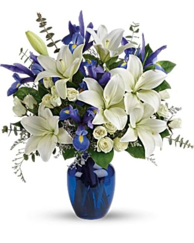<p>Capture the quiet beauty of a winter morning with a bouquet that blends cool tones and graceful blooms into a serene and refreshing gift. This arrangement offers a gentle expression of care, making it a meaningful choice for any moment that calls for peace and presence.</p>
<p>White Asiatic lilies, soft white spray roses, and rich blue iris come together in perfect harmony, accented by fresh greenery for a touch of natural texture. Arranged in a clear glass vase, the design feels modern yet timeless, allowing the striking contrast of blue and white to shine through.</p>
<p>Whether you’re celebrating a winter birthday, sending support, or marking a seasonal occasion like Hanukkah, this bouquet conveys warmth and elegance with every petal. Its calm color palette adds beauty to any space, making it equally fitting as a thoughtful gesture or home accent.</p>
<p>Each arrangement is handcrafted by a skilled florist and delivered fresh with care. While exact flower varieties may vary with availability, the overall look remains soothing, polished, and full of quiet charm.</p>
<p>Send a message of peace and beauty with a bouquet that mirrors the calm of a clear winter sky.</p>