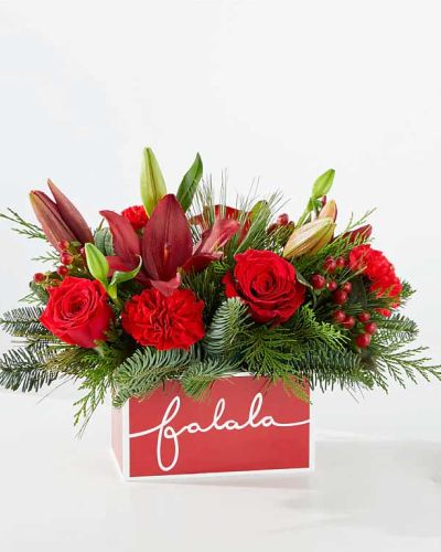 <p>Nothing brightens a home for the holidays like a burst of festive flowers. The Deck the Halls Bouquet delivers seasonal cheer with joy and warmth, making it a thoughtful way to send holiday wishes or surprise someone with doorstep delight. This charming arrangement captures the wonder of the Christmas season in full bloom.</p>
<p>The bouquet features a vibrant mix of rich red roses, cheerful carnations, and fresh seasonal greenery, all designed to evoke the spirit of the holidays. Arranged in a festive keepsake box with holiday artwork and a touch of whimsy, it’s perfect for display on a Christmas table, mantel, or entryway. The vivid reds and lush greens create a classic color palette that radiates timeless holiday beauty.</p>
<p>Ideal for holiday gatherings, hostess gifts, or simply adding seasonal sparkle to someone’s day, this bouquet celebrates Christmas traditions with elegance and heart. It’s a lovely way to say thank you, share joy, or send peaceful holiday wishes.</p>
<p>Each arrangement is handcrafted by expert local florists using fresh, seasonal flowers. Some blooms may arrive in bud form to extend the enjoyment and freshness. Local delivery is available to ensure your gift arrives with care, ready to brighten the season.</p>
<p>Send the Deck the Halls Bouquet today and add floral magic to someone’s holiday celebration.</p>